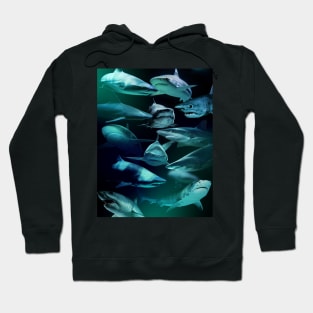 Sharks Hoodie